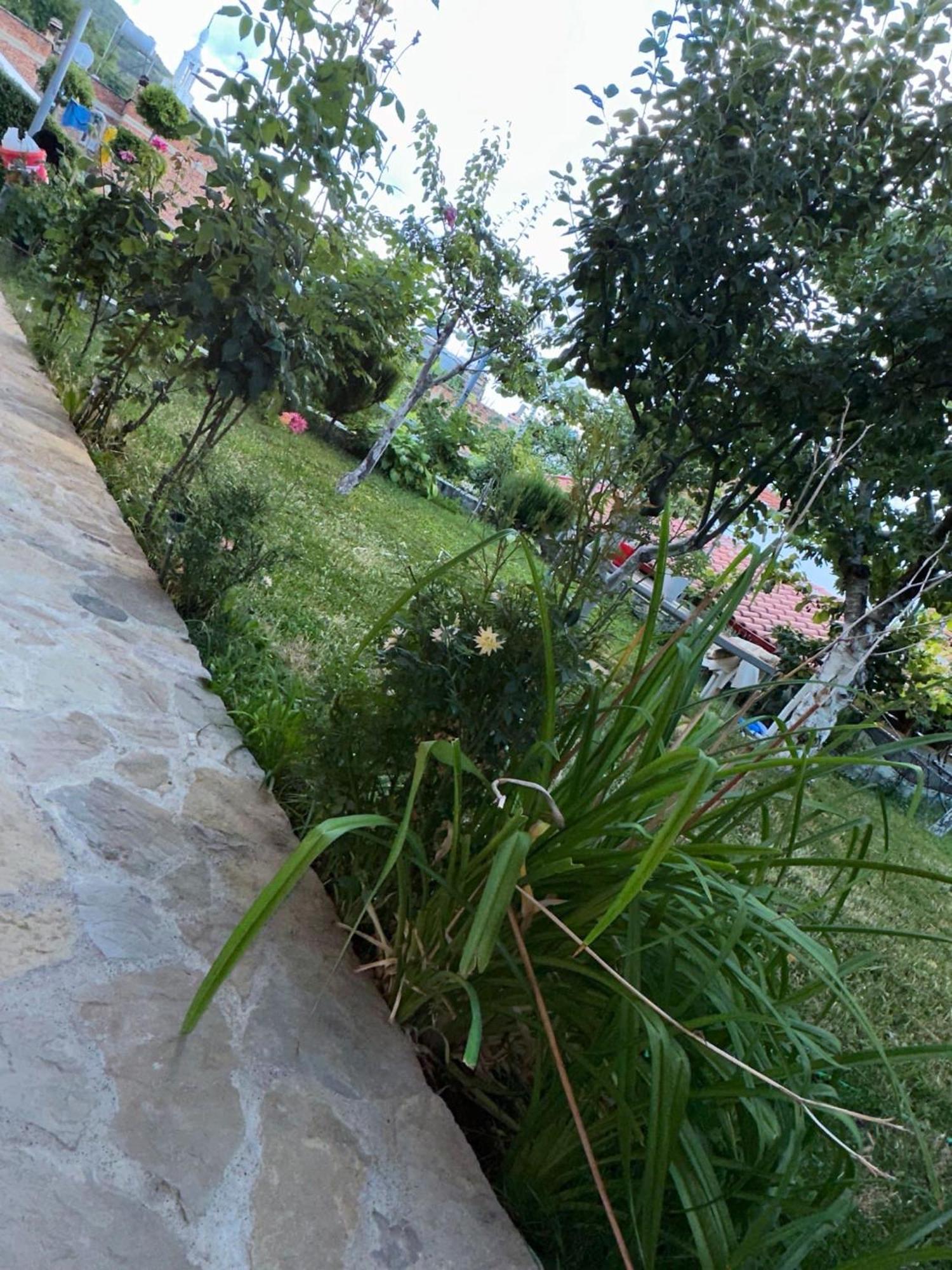 Villa Gardenhouse à Memlishte Extérieur photo